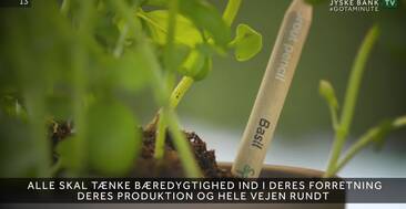 Sprout inspirerer andre til at tænke bæredygtigt med spirende blyanter